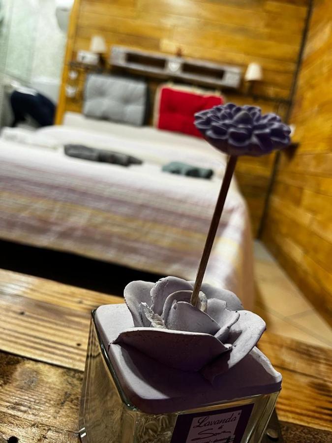 Willa La Casa A Colori Viterbo Zewnętrze zdjęcie